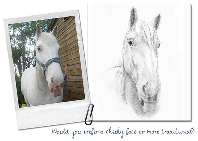 Emily Mayman The Equine Artist Photo Guide